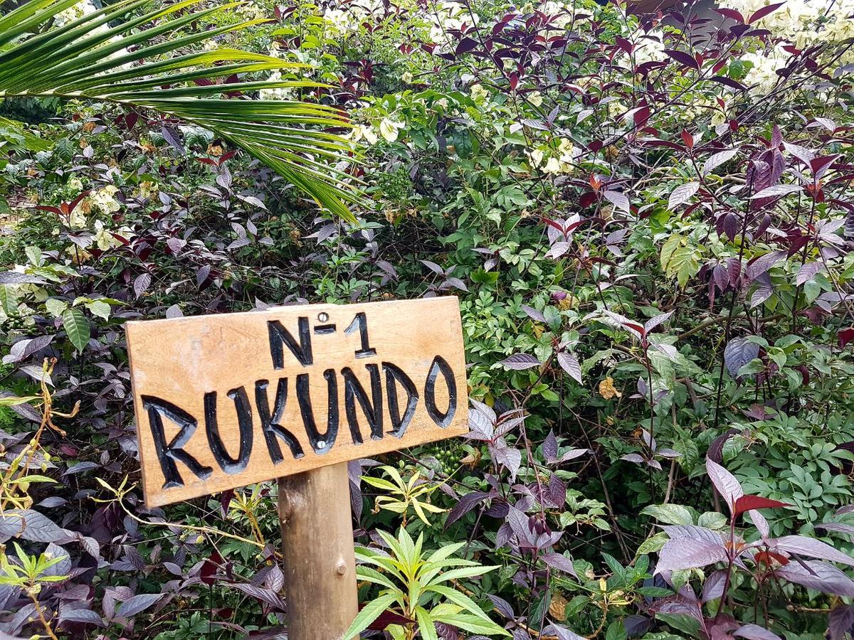 Kivu Paradis Resort Nyamyumba Kamer foto
